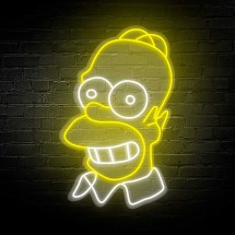 Néon Led Flex Homer